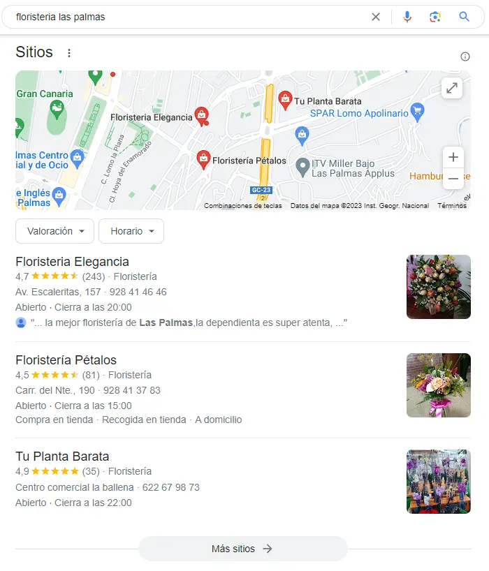 Guía SEO Local 5 resultados google maps