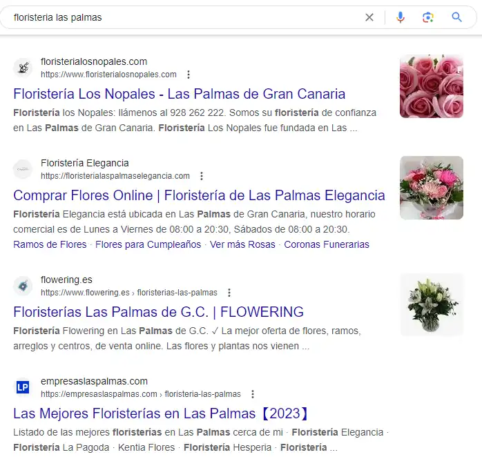 Guía SEO Local 6 resultados organicos